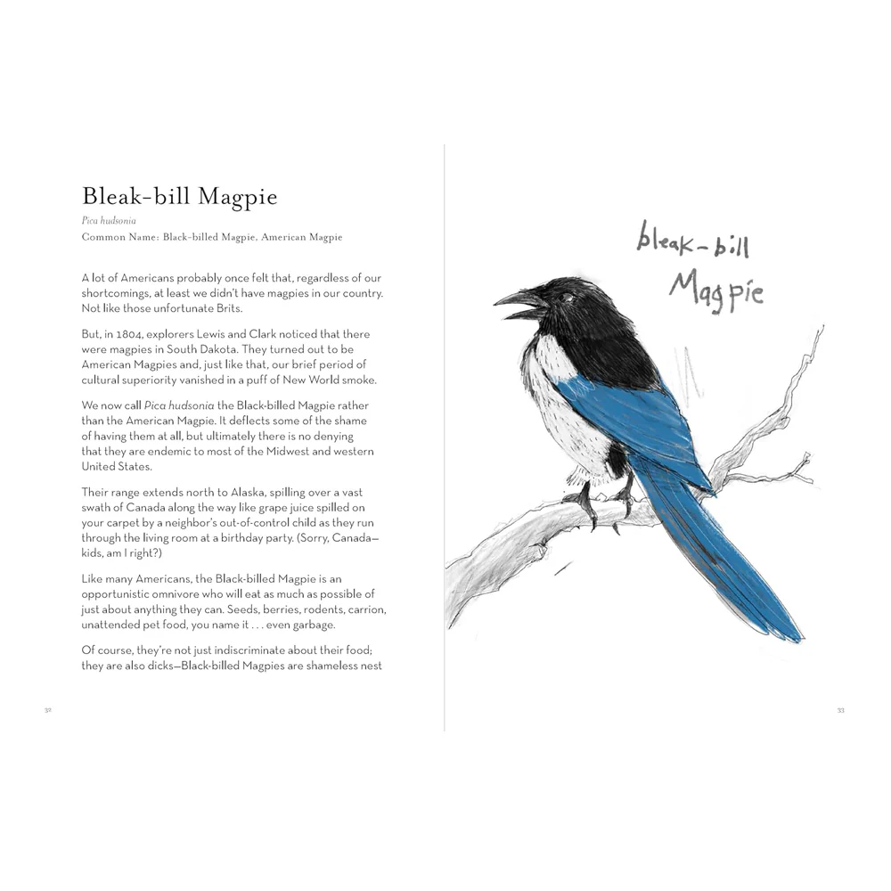 A Dumb Birds Field Guide to the Worst Birds Ever - Image 2