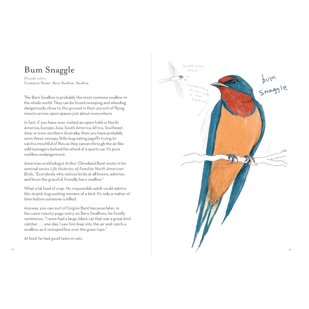 A Dumb Birds Field Guide to the Worst Birds Ever - Image 3
