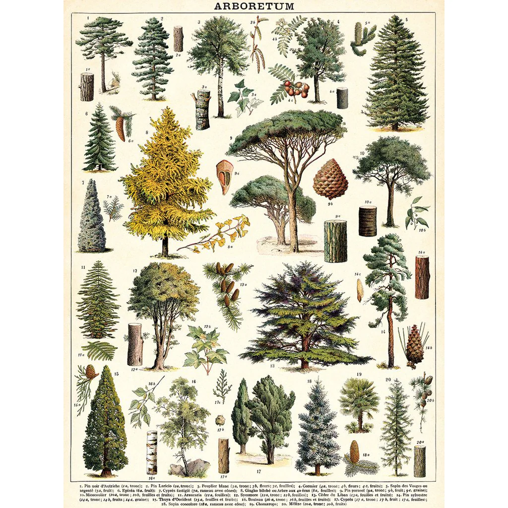 Arboretum 1,000 Piece Puzzle - Image 2