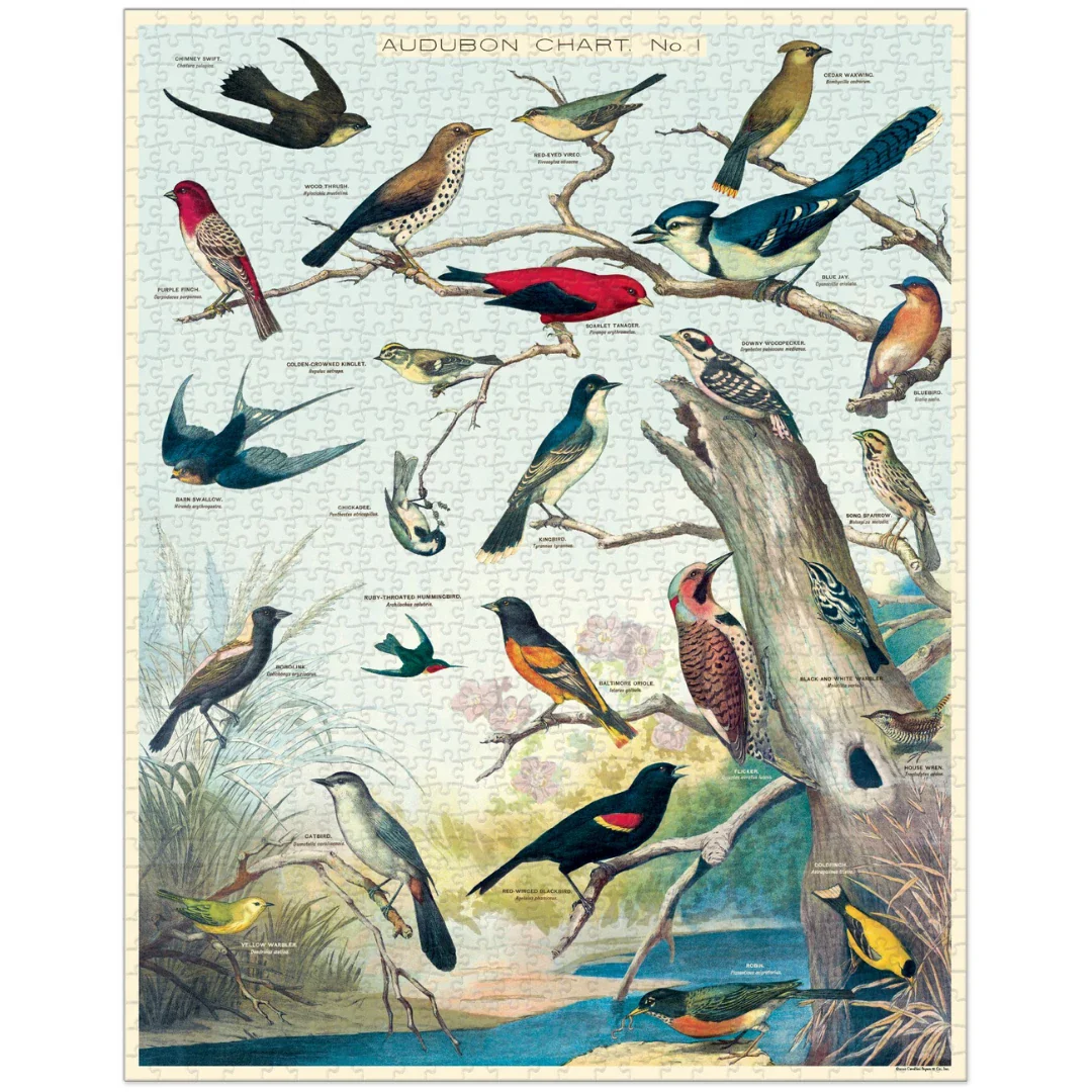 Audubon Birds 1000 pc puzzle - Image 2