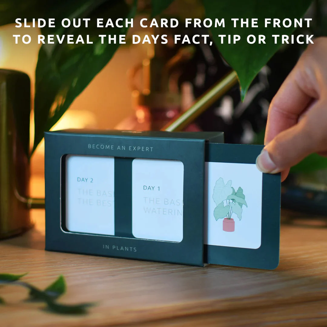 Become an Expert in Plants in 90 Days Slide Box - Image 4