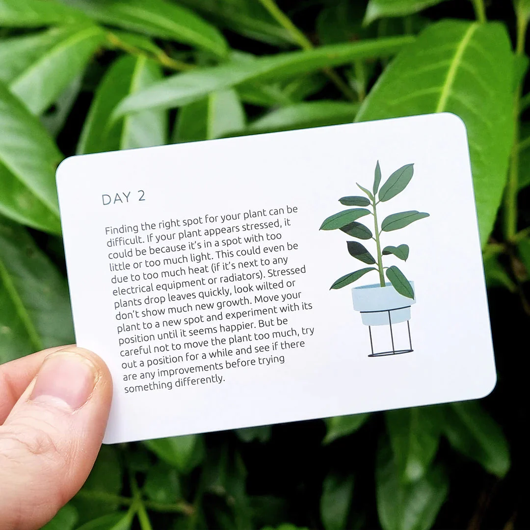 Become an Expert in Plants in 90 Days Slide Box - Image 5