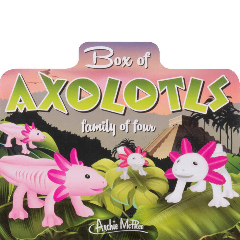 Box of Axolotls - Family of Four - Image 2