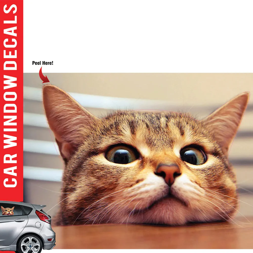 Cat Car Window Decal
