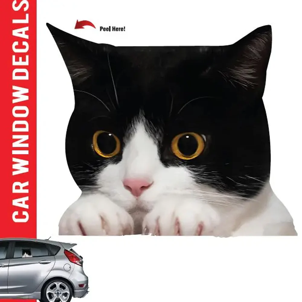 Cat Car Window Decal - Image 3