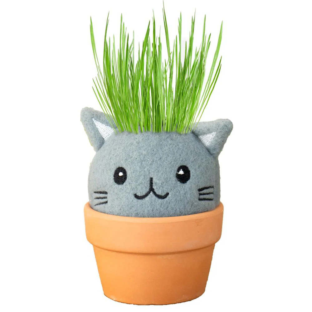 Cat Grow Pal Garden - Image 3