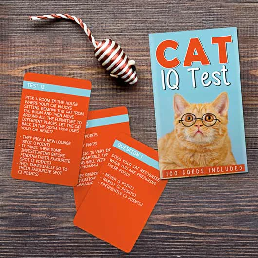 Cat IQ Test - Image 2