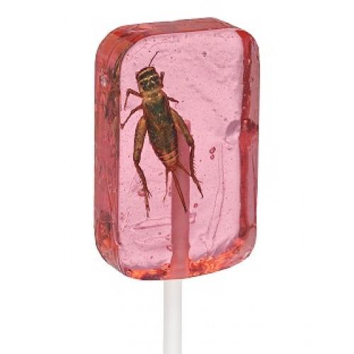 Cricket Lick-it Sucker - Strawberry