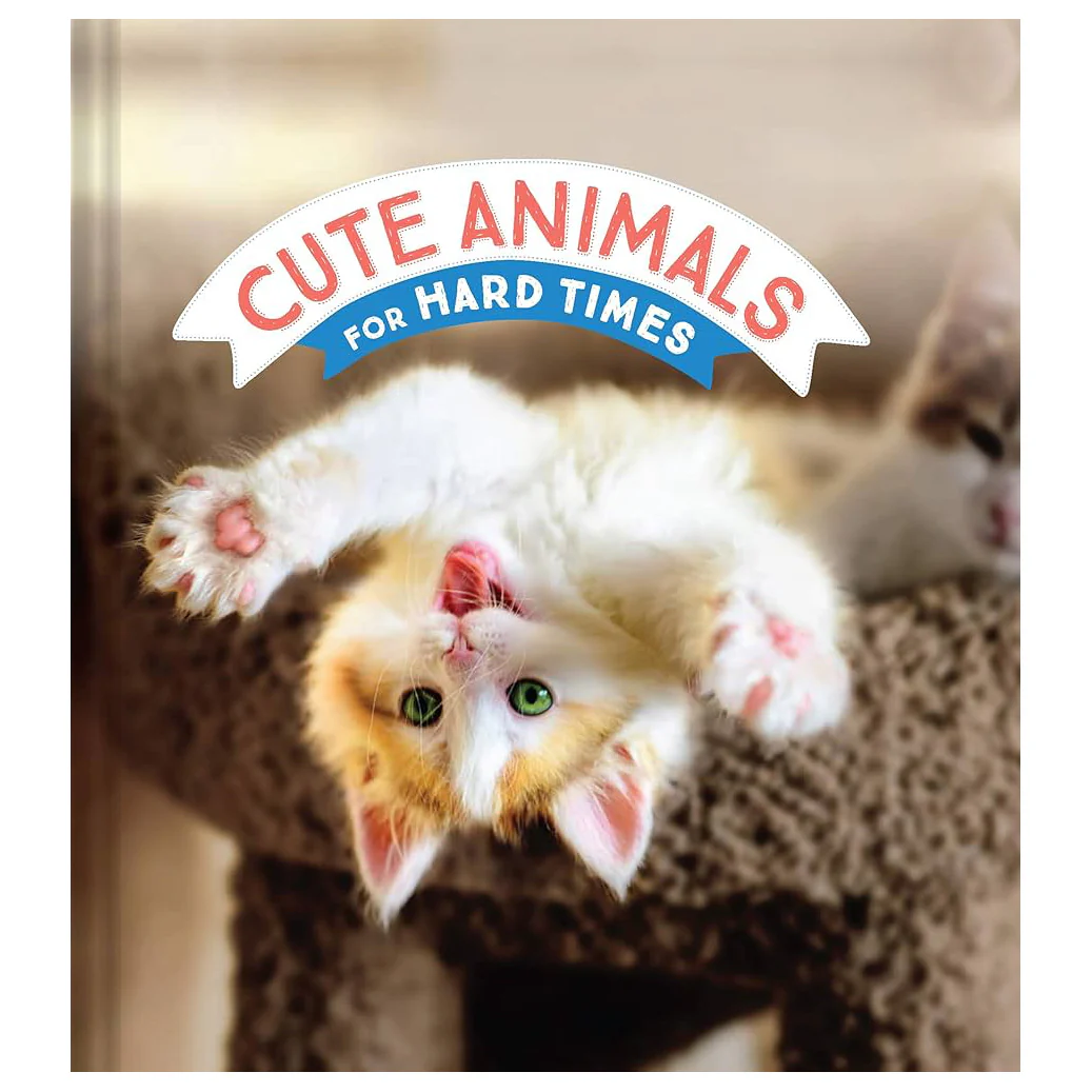 Cute Animals for Hard Times