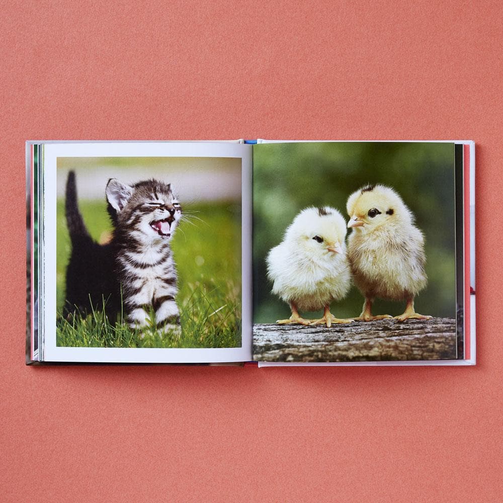Cute Animals for Hard Times - Image 2