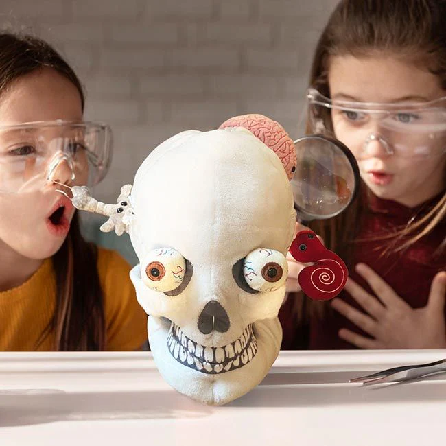 Deluxe Skull With Minis - Image 2