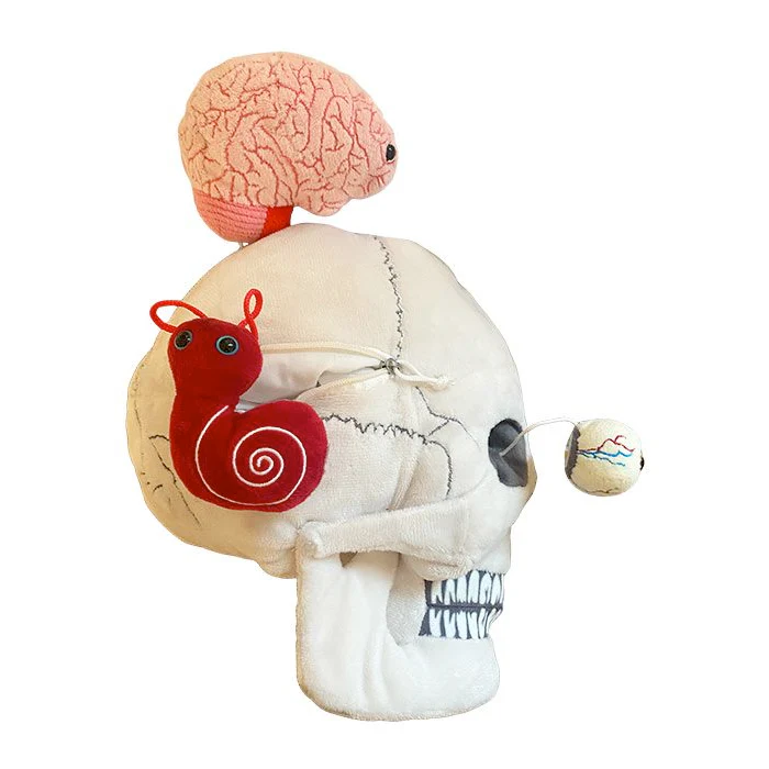 Deluxe Skull With Minis - Image 3