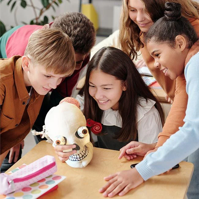 Deluxe Skull With Minis - Image 5
