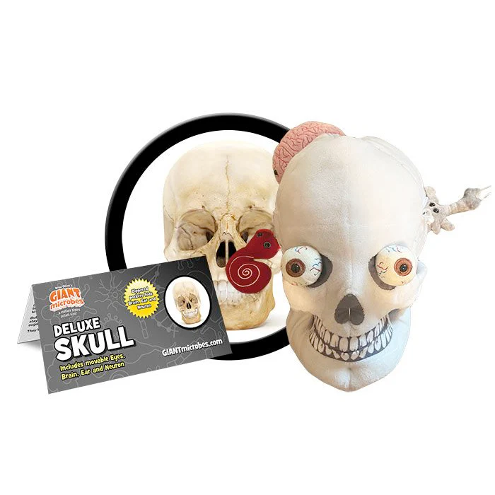Deluxe Skull With Minis - Image 7