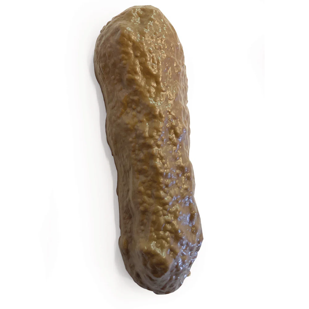 Dog Poop Gag!