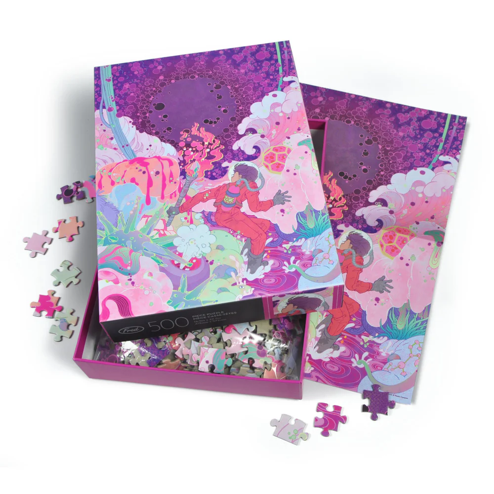Explorer 500 pc puzzle - Image 2