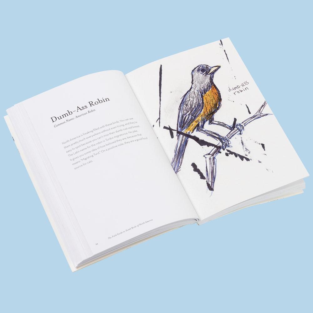 Field Guide to Dumb Birds of North America pb - Image 2