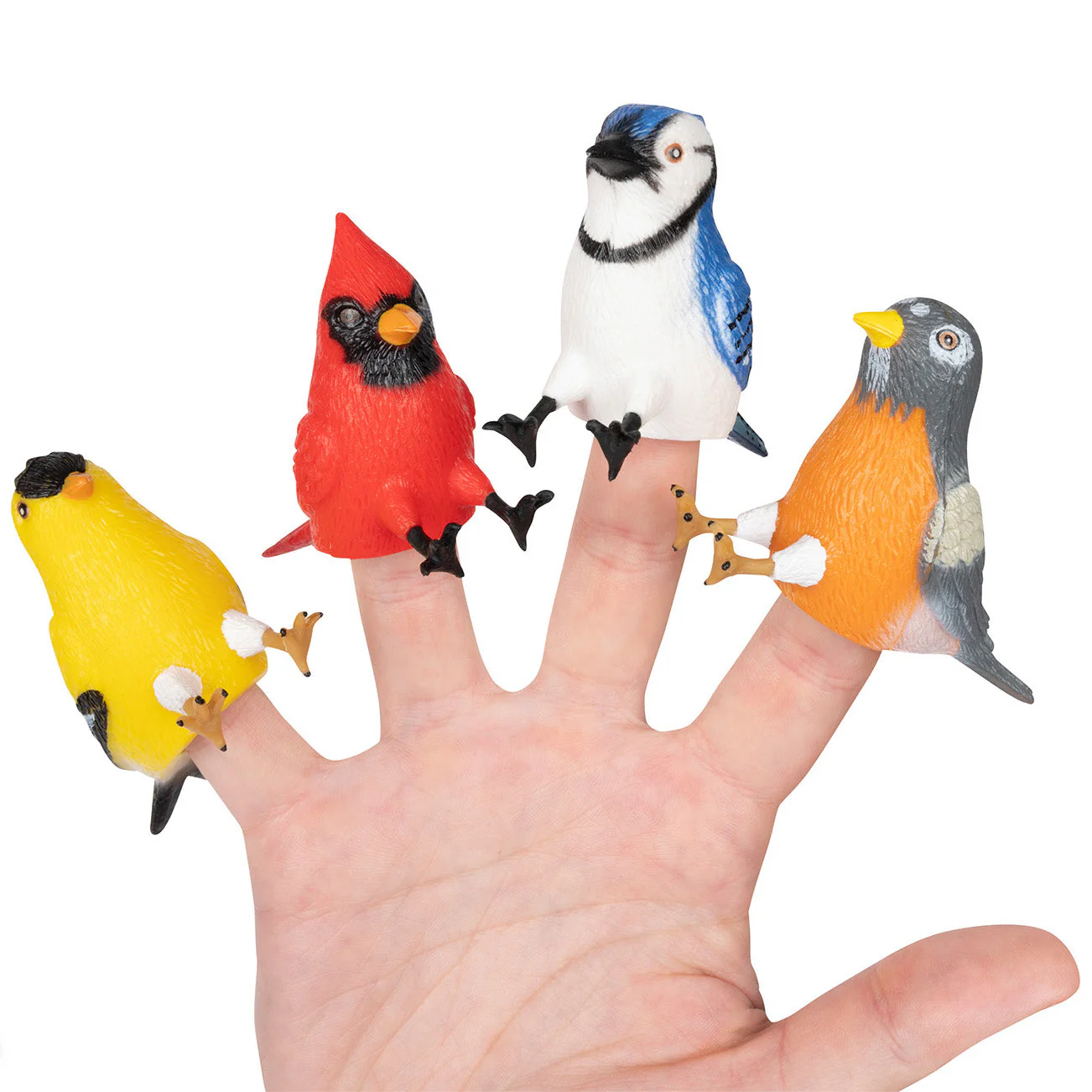 Finger Bird Feeder Bird - 1 randomly selected bird