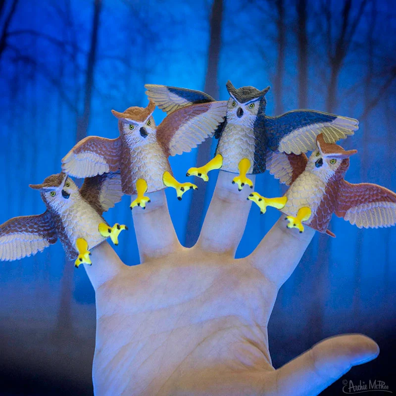 Finger Owl - 1 owl - Image 2