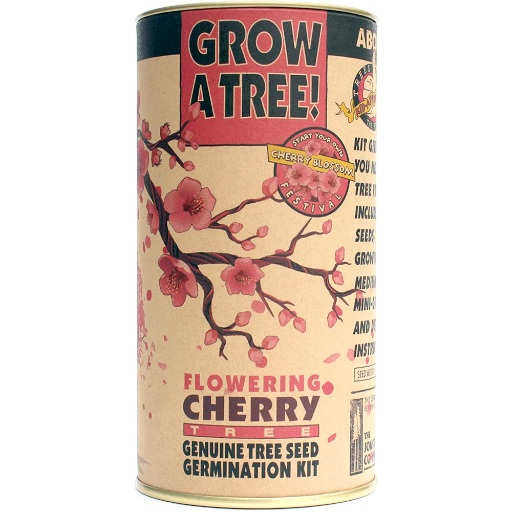 Flowering Cherry Blossom Grow Kit