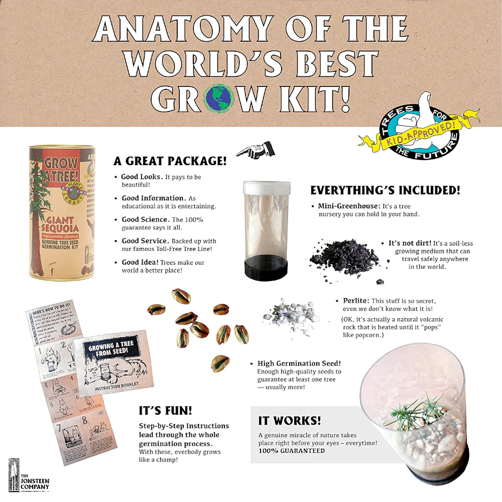 Flowering Cherry Blossom Grow Kit - Image 3