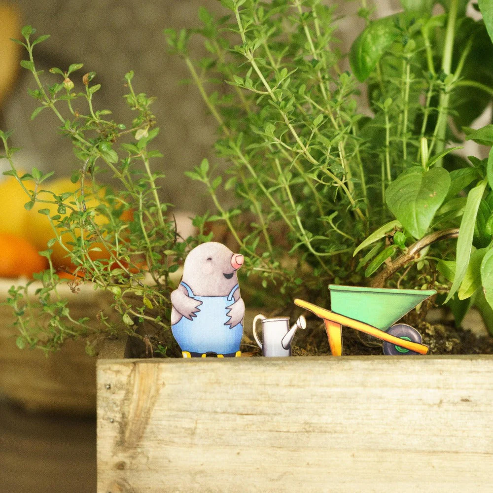 Gardening Mole Fancy Plants Diorama Kit - Image 2
