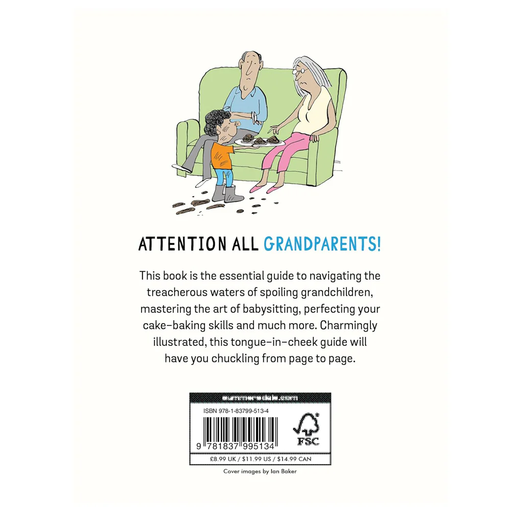 How to Survive Being a Grandparent - Image 2