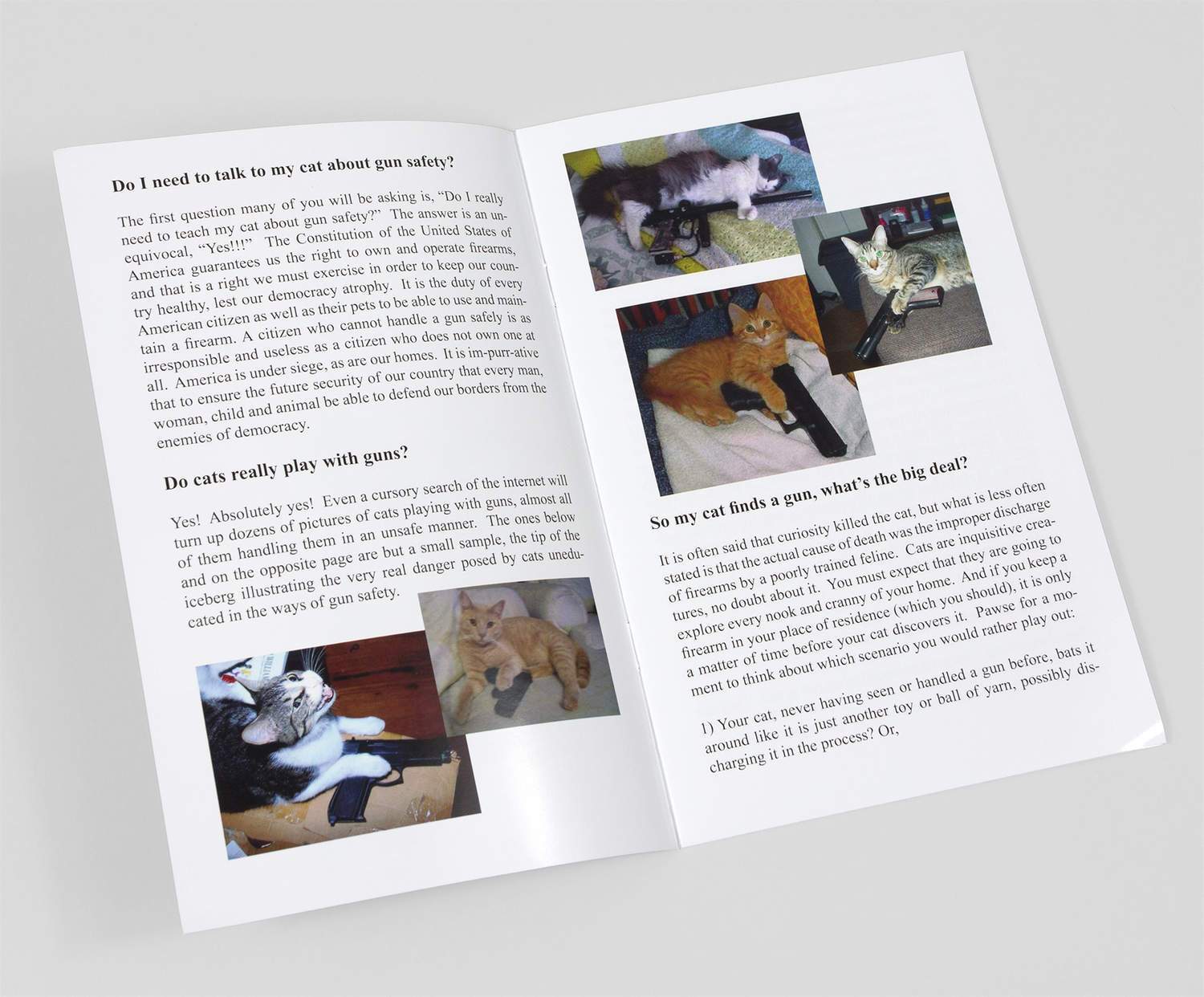 How to talk to your cat about gun safety Book - Image 3
