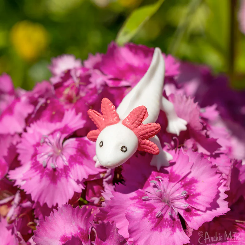Itty Bitty Axolotls - set of 8 - Image 3