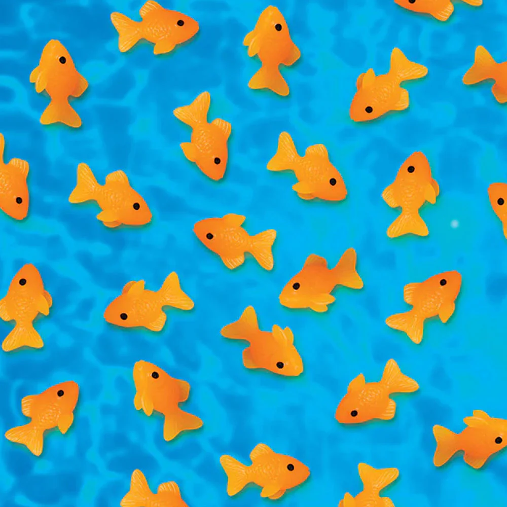 Itty Bitty Goldfish - Image 2
