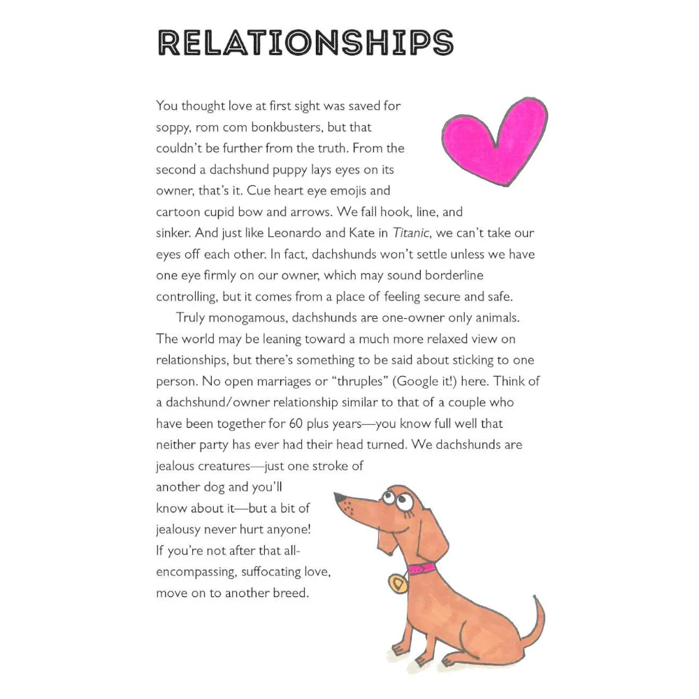 Life Lessons from a Dachshund - Image 2