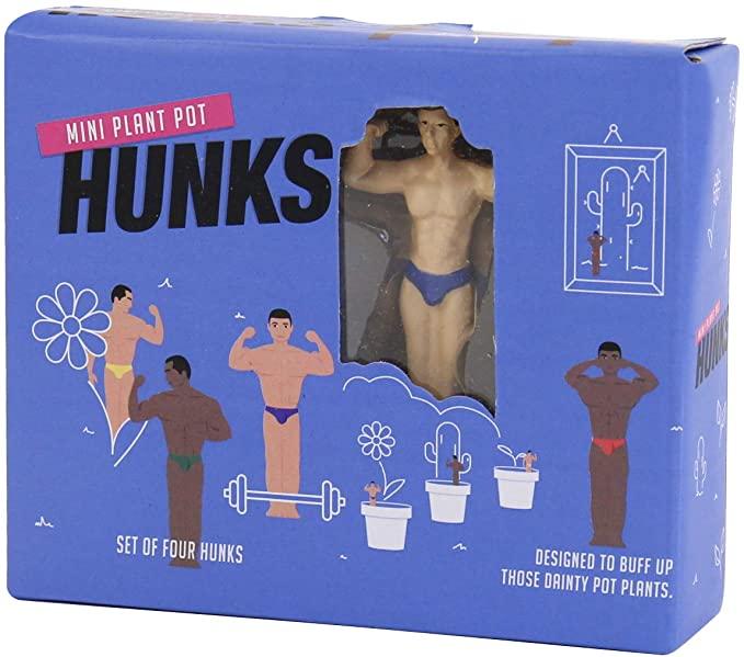 Mini Plant Pot Hunks