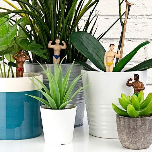 Mini Plant Pot Hunks - Image 2