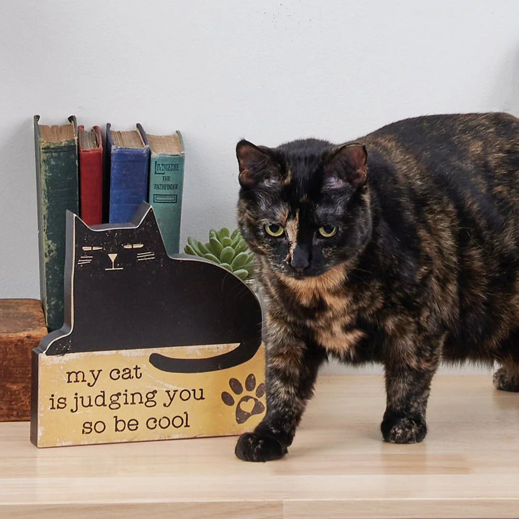 My Cat Is Judging You So Be Cool Sign - Image 2
