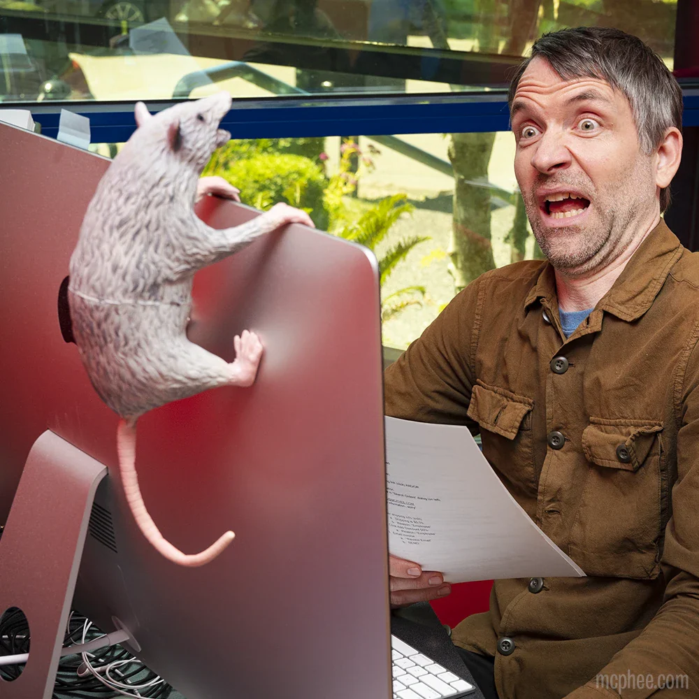 Office Possum - Image 2