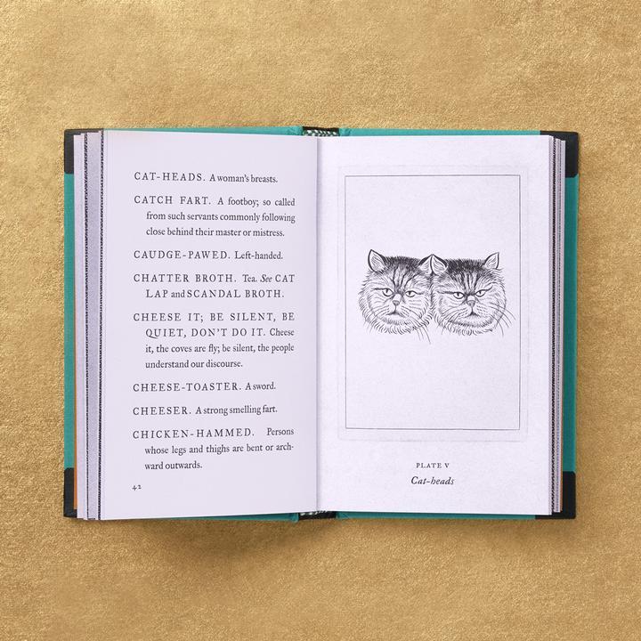 Pocket Dictionary of the Vulgar Tongue - Image 3