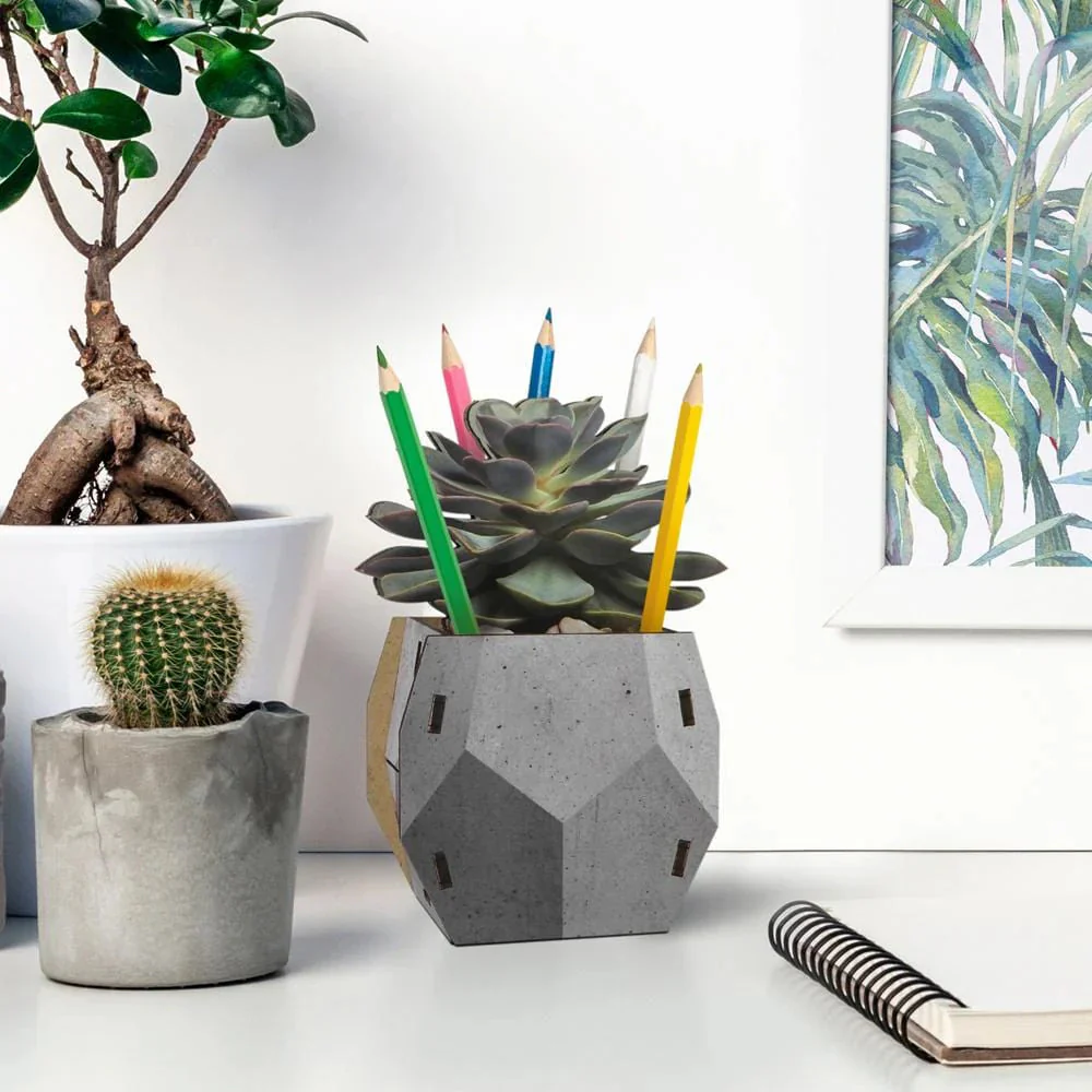 Pop Plant Pencil Holder - Echeveria - Image 2