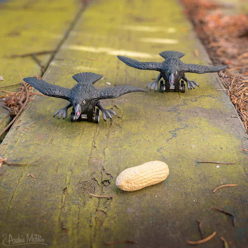 Racing Crow - 1 pc - Image 2