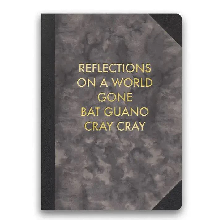 Reflections on a World Gone Bat Guano Cray Cray Journal