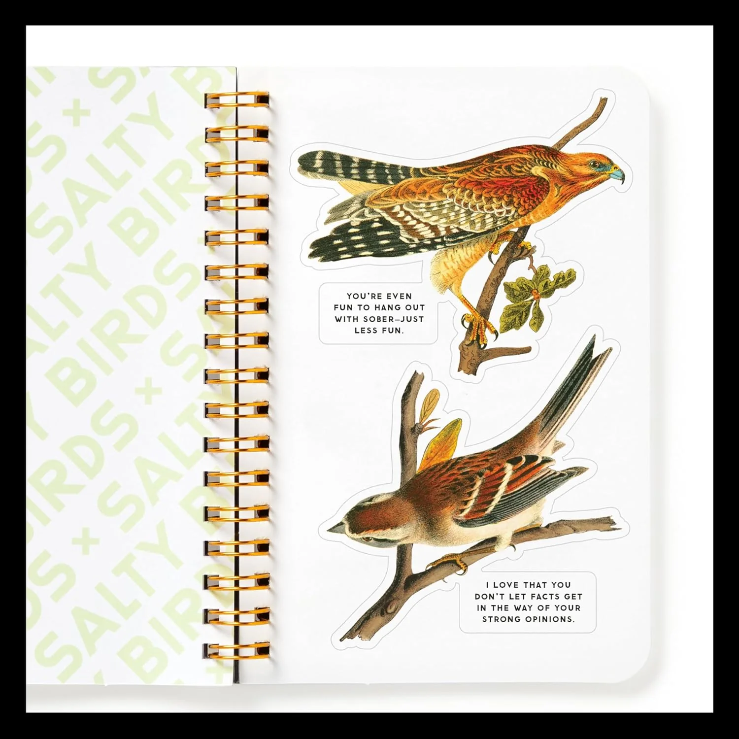 Salty Birds Sticker Book - Image 3