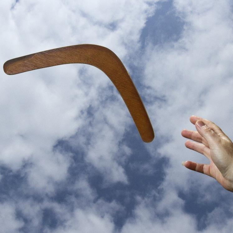 Spirit of the Wind Boomerang USA - Image 2