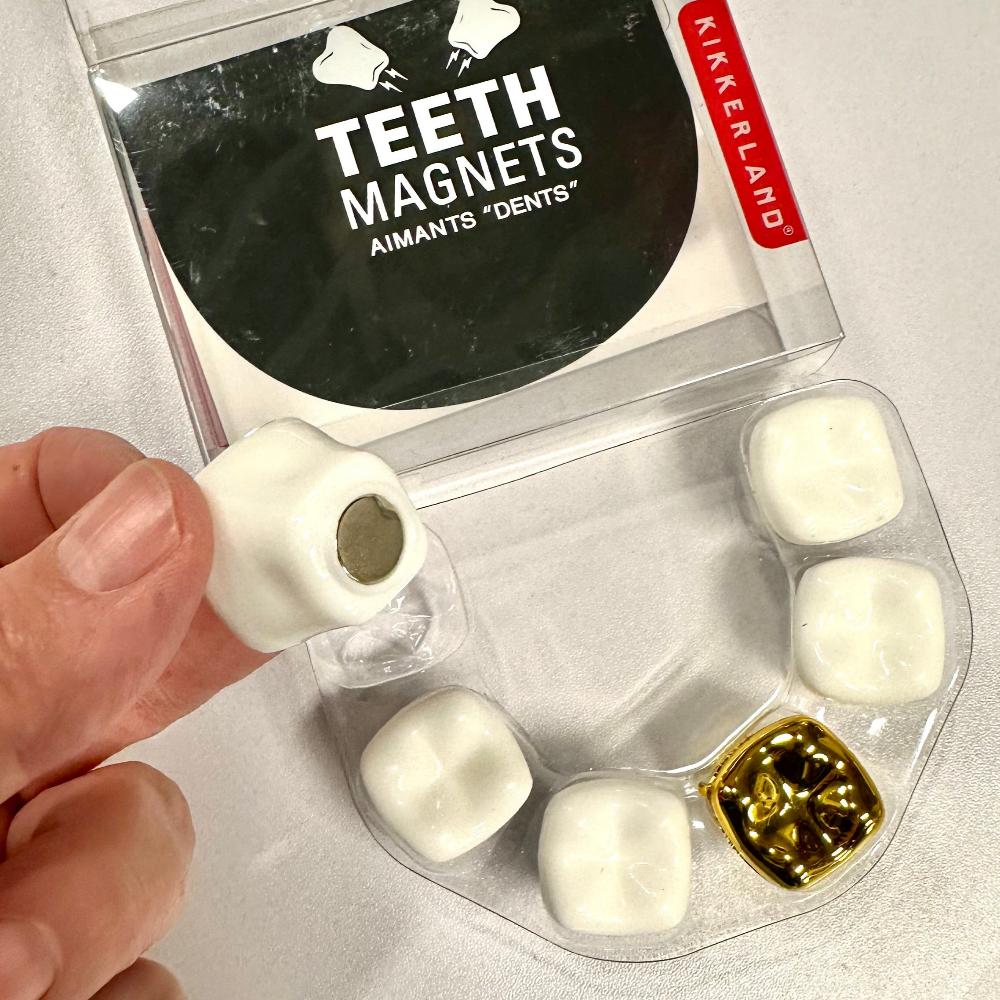 Teeth Magnets- set of 6 - Image 2