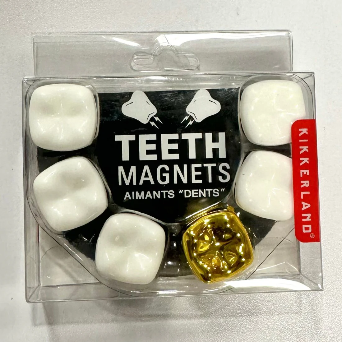 Teeth Magnets- set of 6 - Image 4