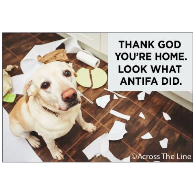 Thank God You're home, Look at what Antifa did Magnet