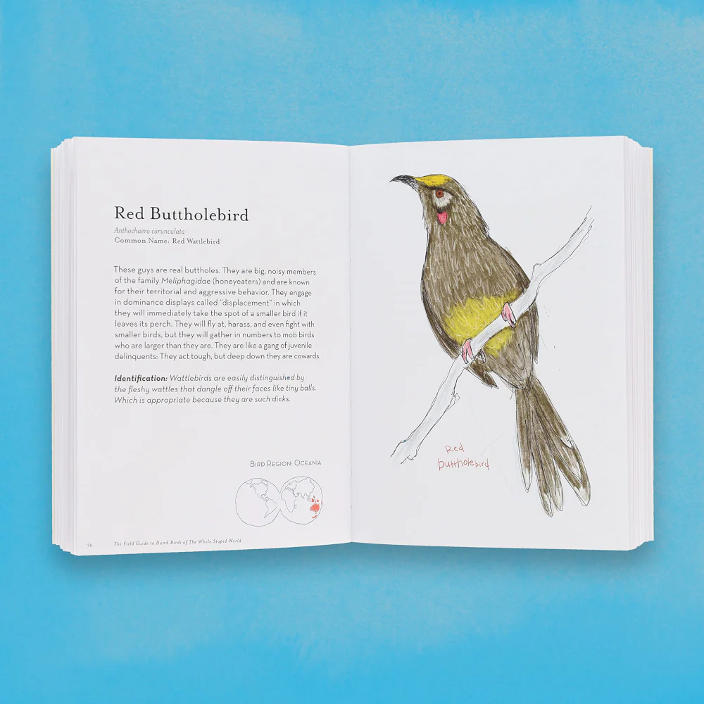 The Field Guide to Dumb Birds of the Whole Stupid World - Image 2