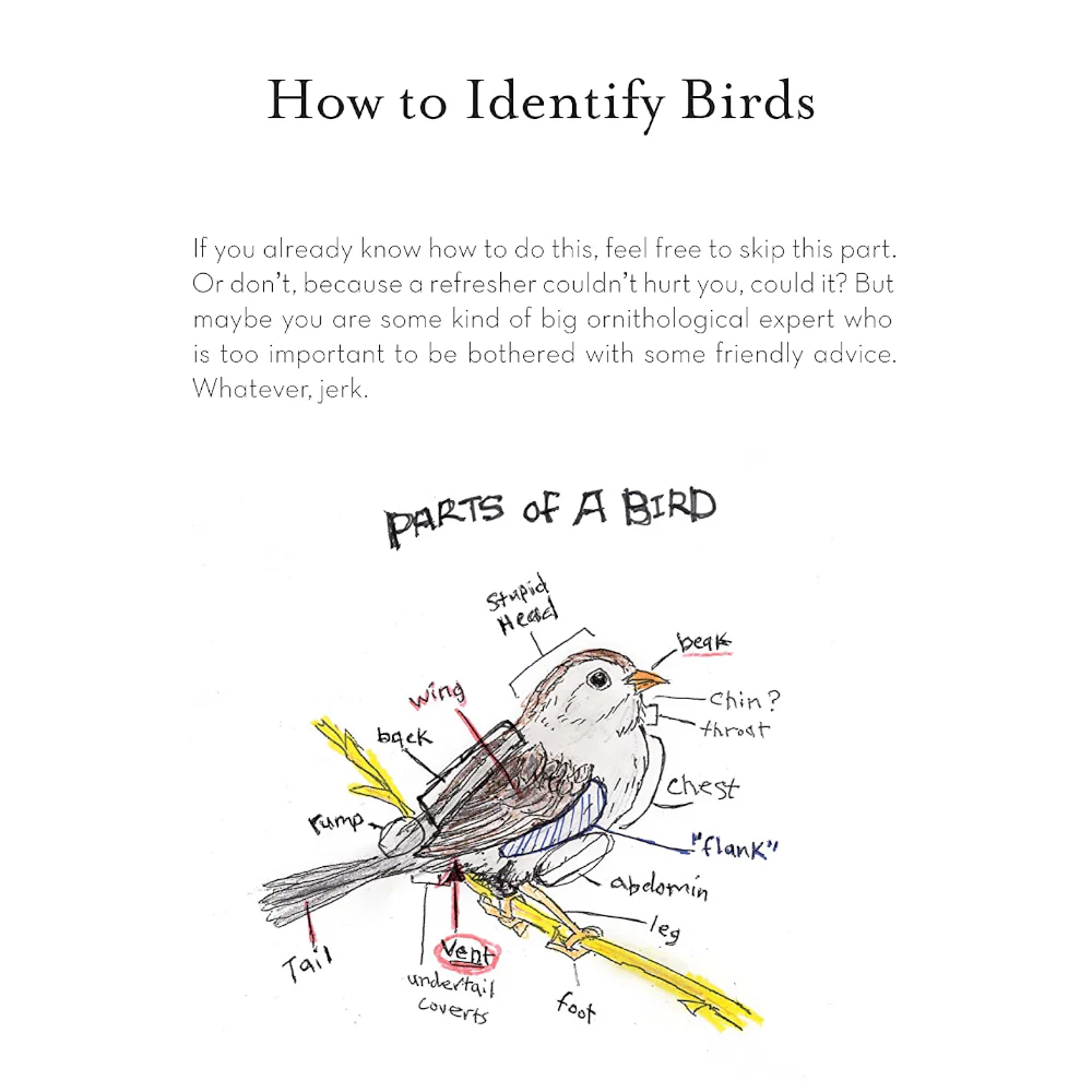 The Field Guide to Dumb Birds of the Whole Stupid World - Image 6