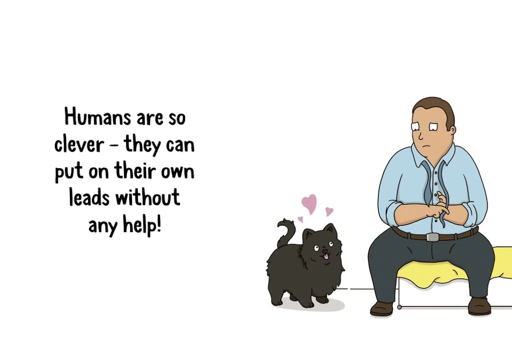 Why Your Dog Thinks You're a Hero - Image 2