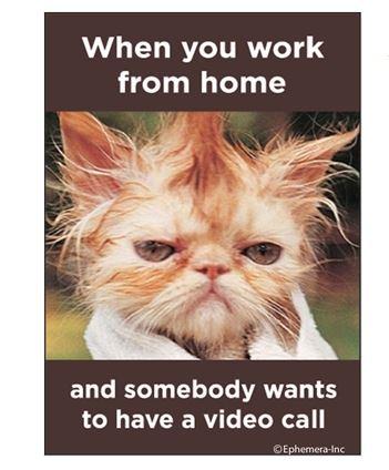 Work From Home Video Call Magnet