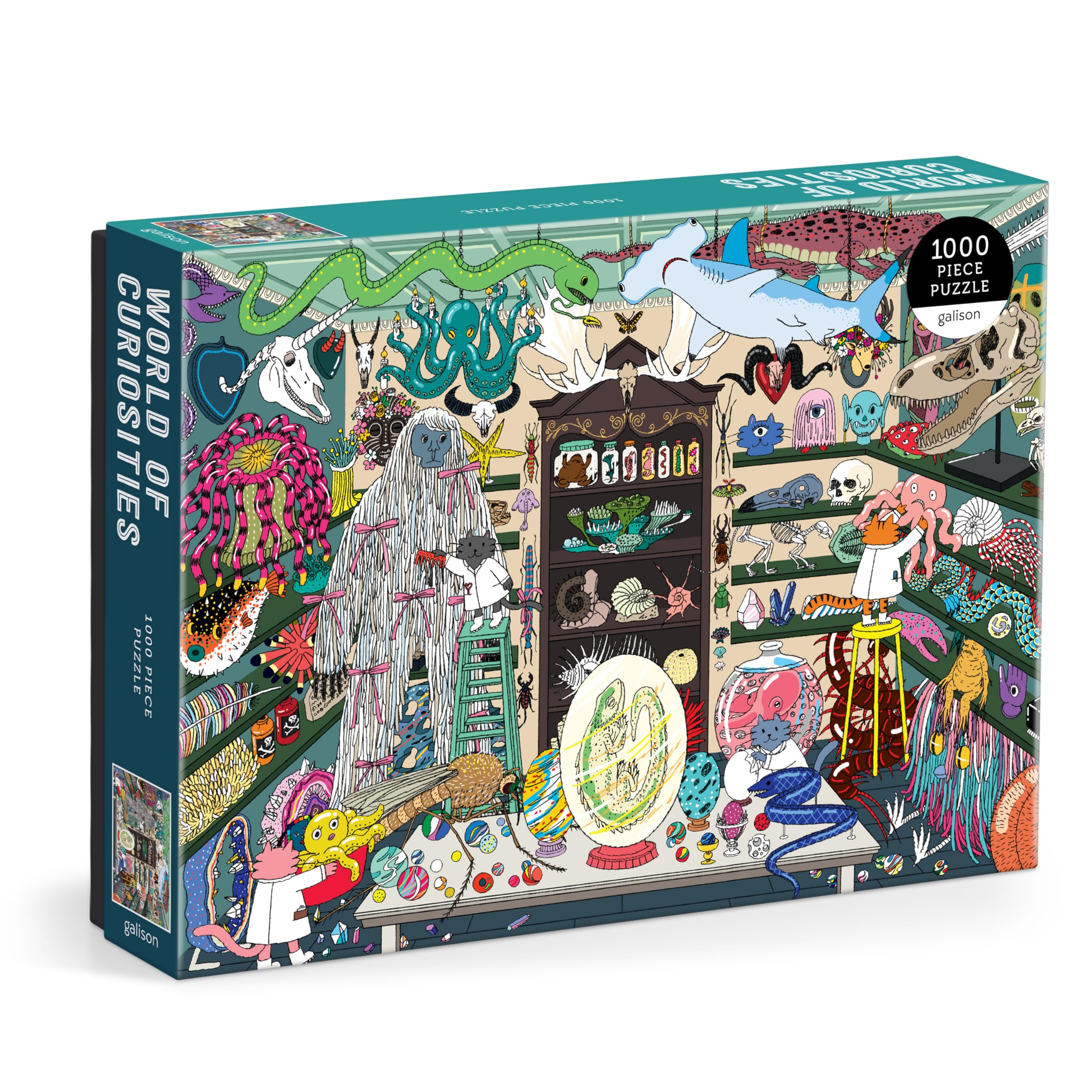 World of Curiosities – 1000 pc Puzzle